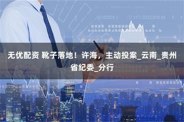 无优配资 靴子落地！许海，主动投案_云南_贵州省纪委_分行