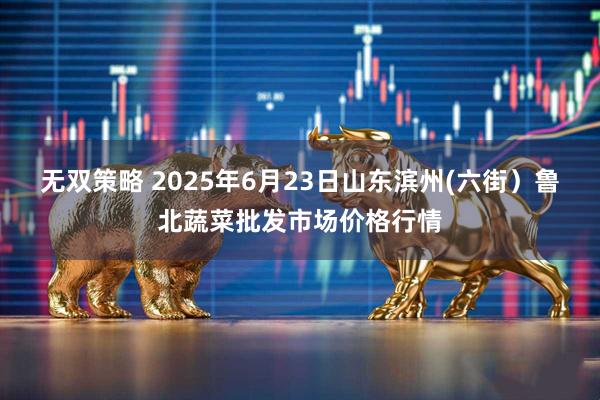 无双策略 2025年6月23日山东滨州(六街）鲁北蔬菜批发市场价格行情