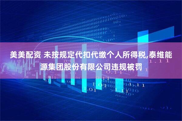 美美配资 未按规定代扣代缴个人所得税,泰维能源集团股份有限公司违规被罚