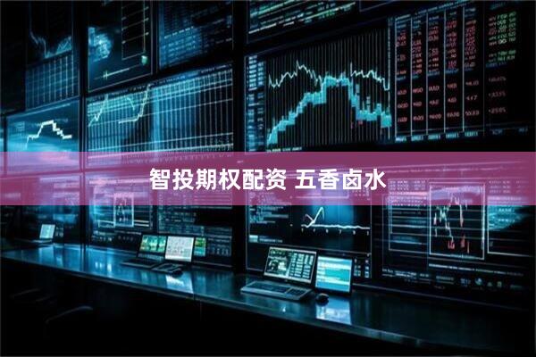 智投期权配资 五香卤水